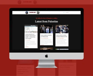 portfolio-images