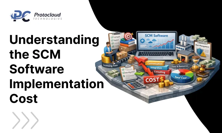 Understanding the SCM Software Implementation Cost
