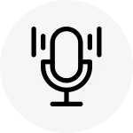 AI Overview & Voice Search Capture