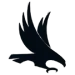 Halcon