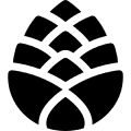 c1 4
