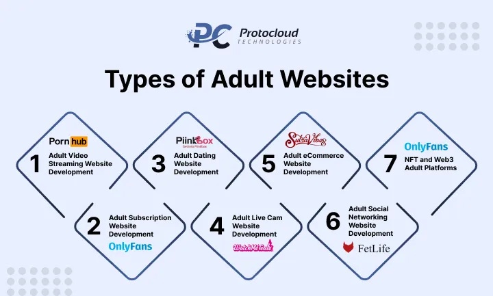 Different types of adult websites including video streaming, dating, subscription, live cam, eCommerce, social networking, and Web3 platforms